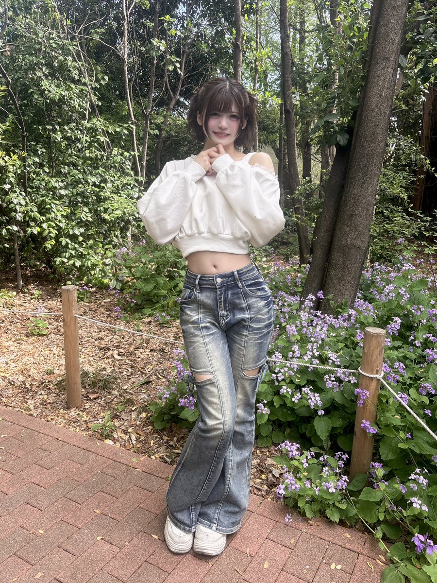 浅桜はんな【フェルソノ】 tweet media