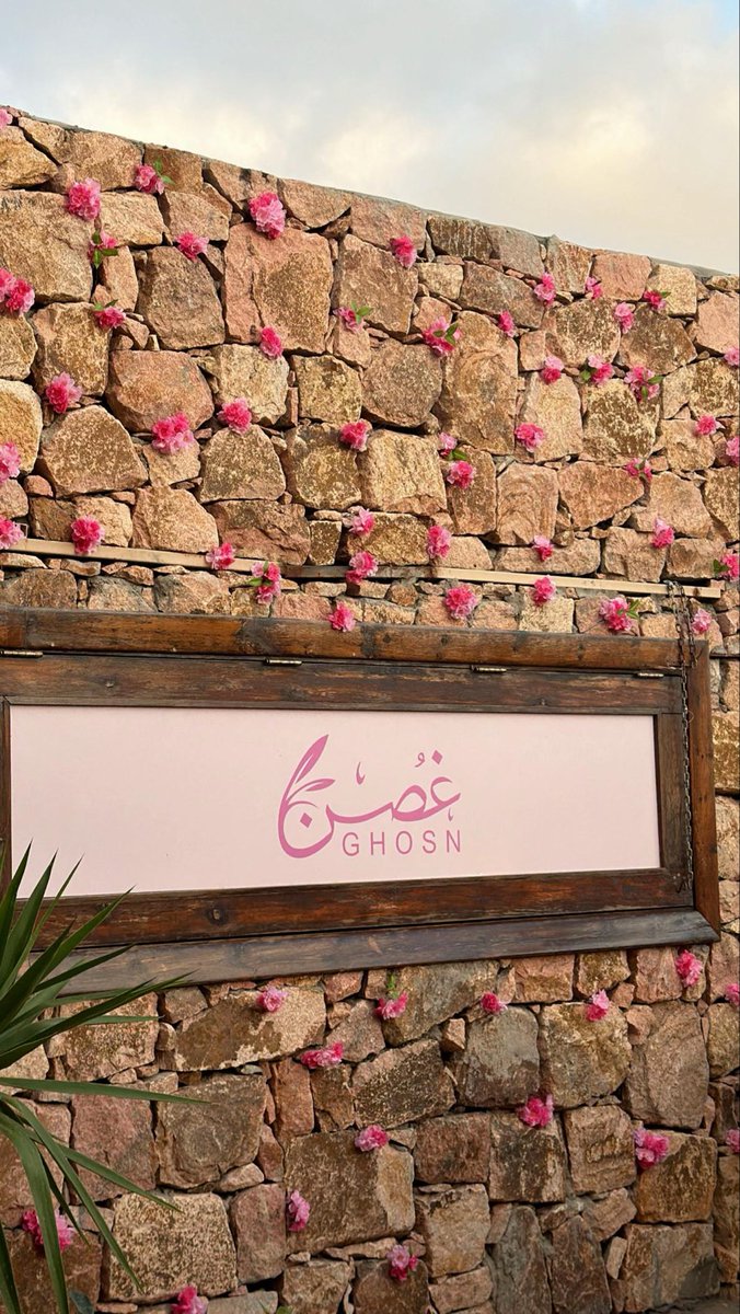 شششغف 🎻 tweet media