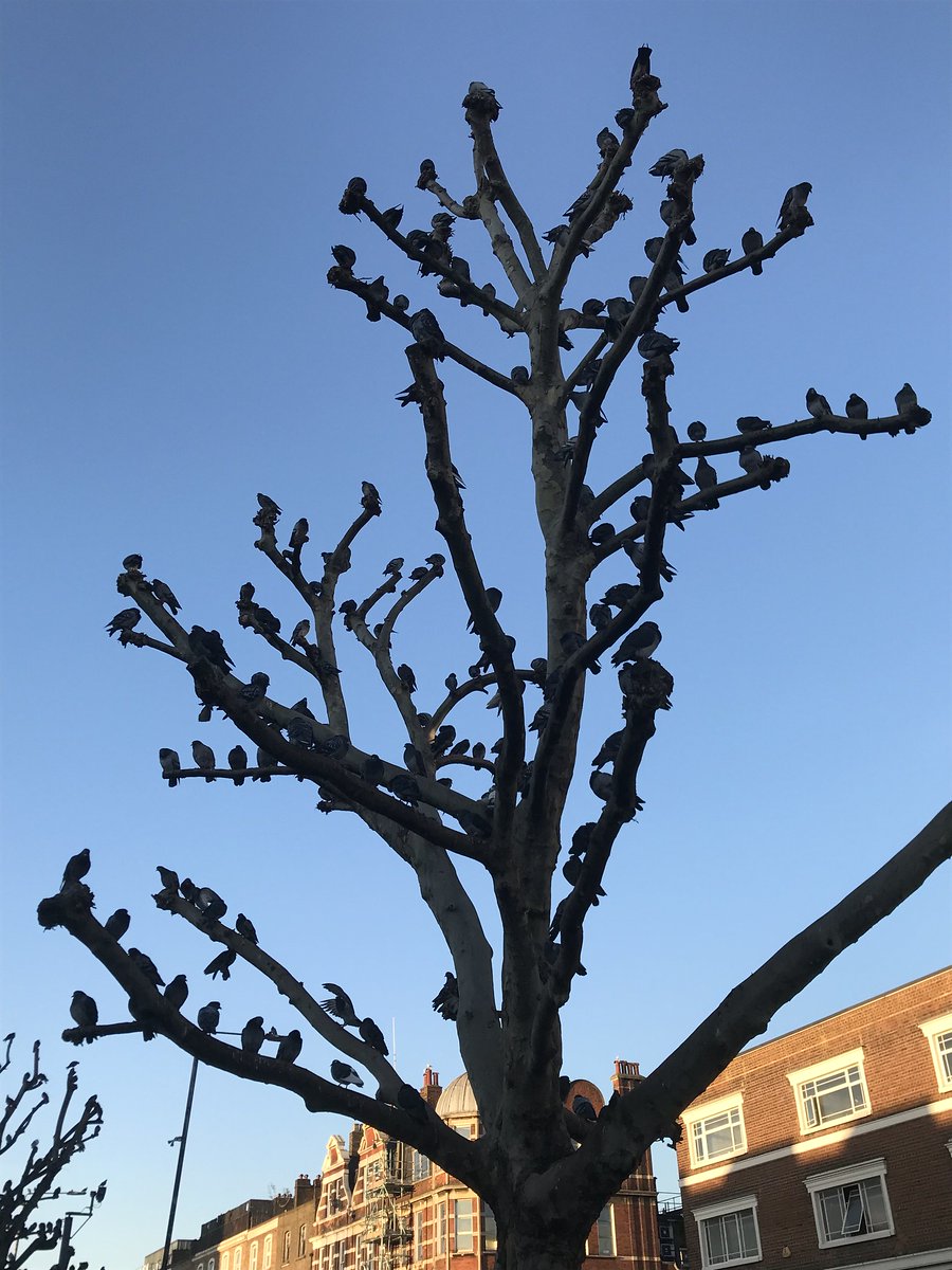 Londonist tweet media