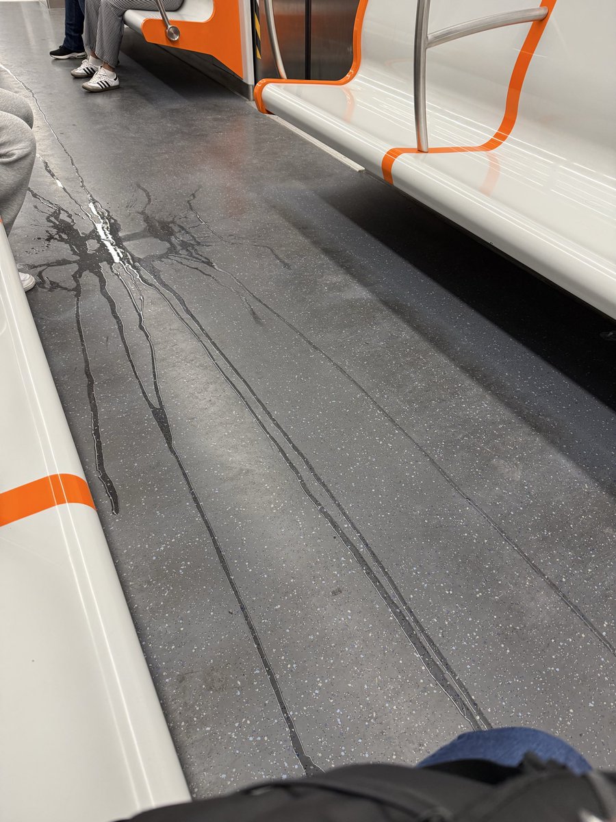 LizGeek's tweet photo. @metrocdmx el vagón  N1251 trae líquido regado y seguramente se va a poner peor. https://t.co/tKKQCpyoLt