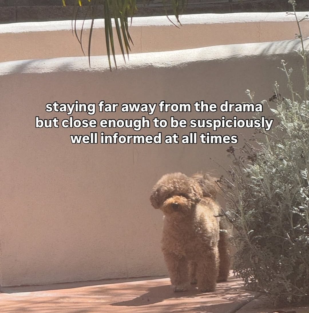 Kerjaan gw di X haha