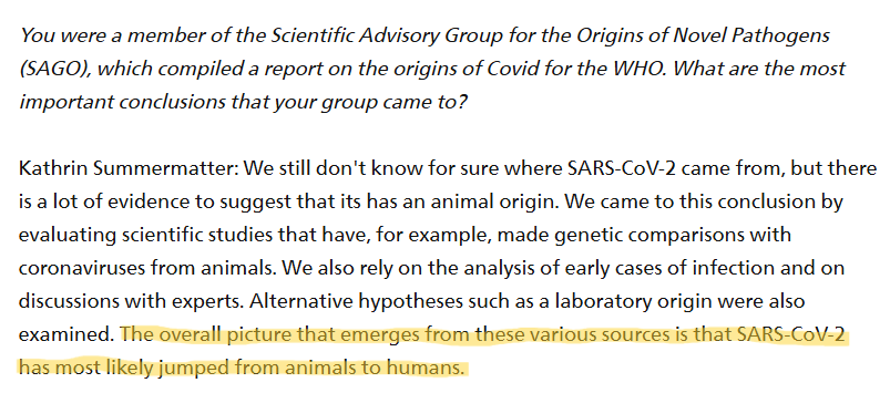 Rune Stava tweet media