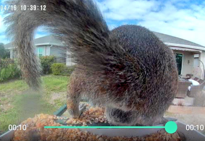 ☆𝕃𝕦𝕟𝕒𝕣🌙𝕃𝕦𝕤𝕥𝕖𝕣☆ tweet media