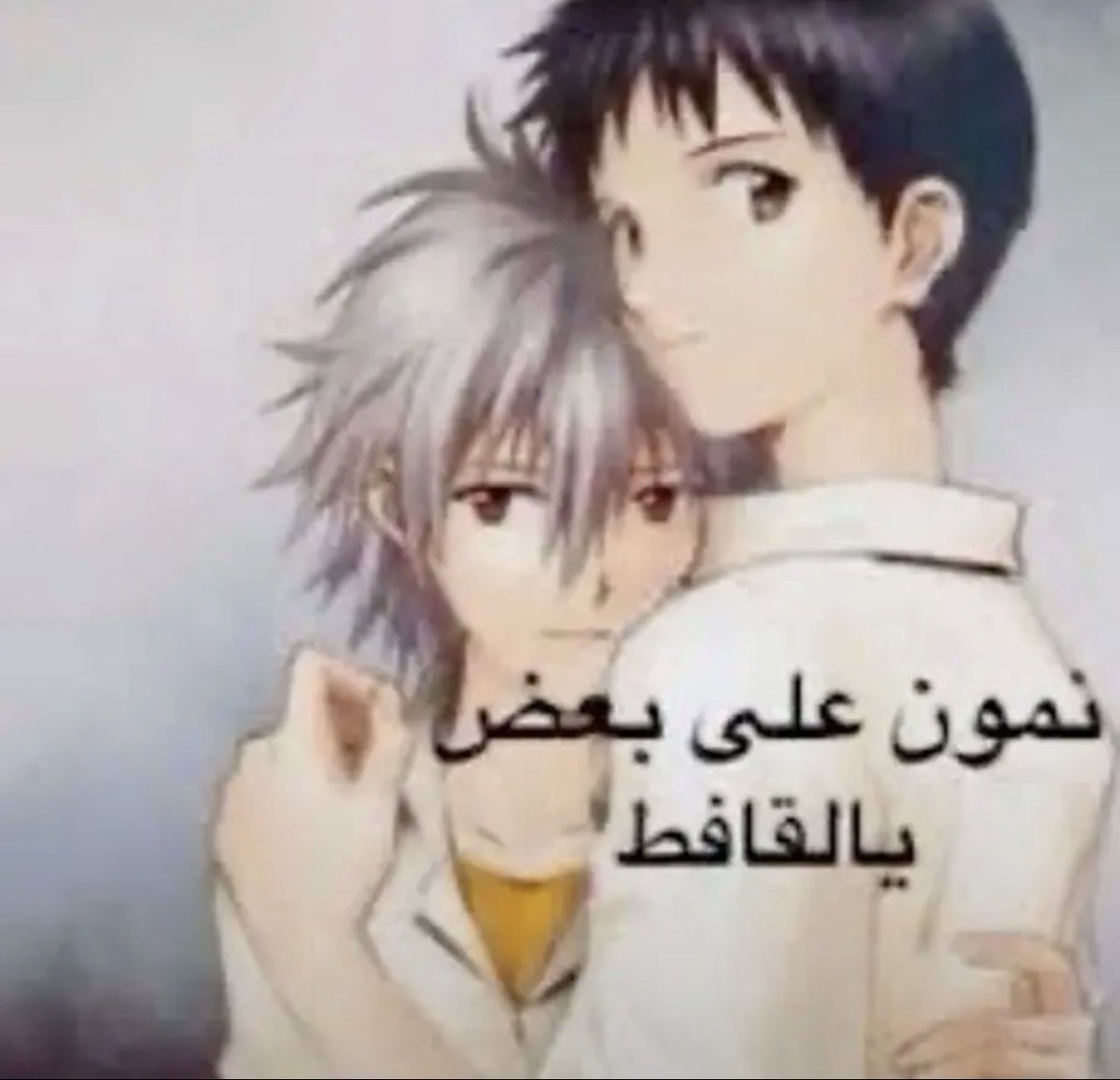 PillowFightChampion tweet media