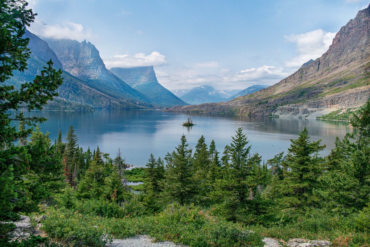 Pat Dooley tweet media