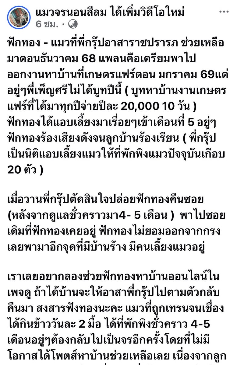 llWSSWll 💜🖤#น้องบุญรอดใจสู้ tweet media