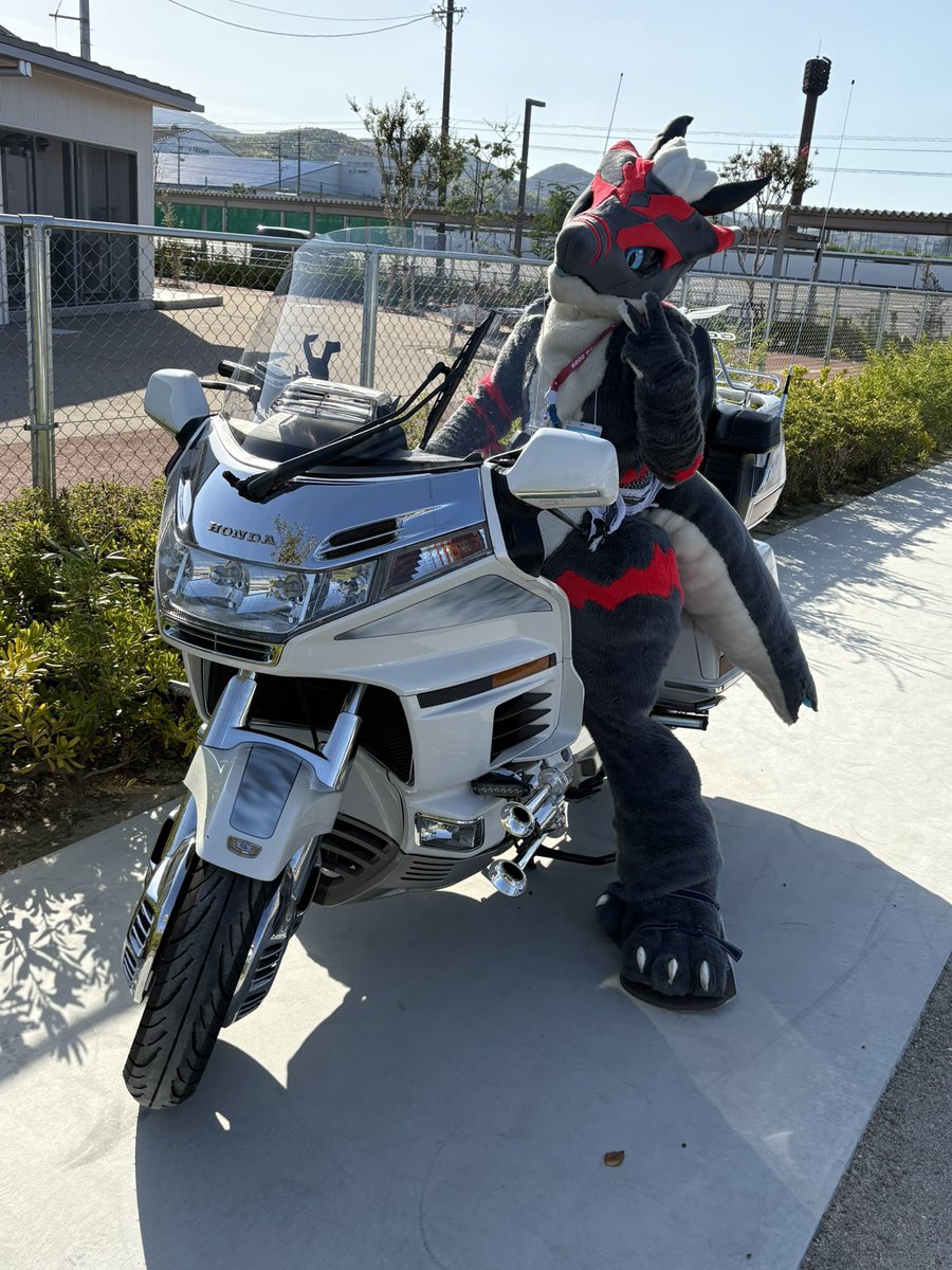kojirasesandayo's tweet photo. #キャラと愛車
#crz
#gl1500
🚗🏍️🐉 https://t.co/IABHxy3Iuc