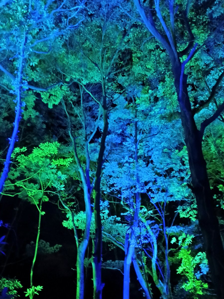 しゅんさん tweet media