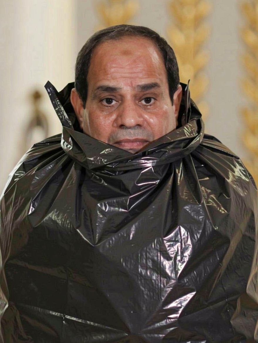 امية tweet media