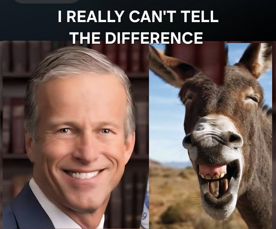 Walt Burchell tweet media