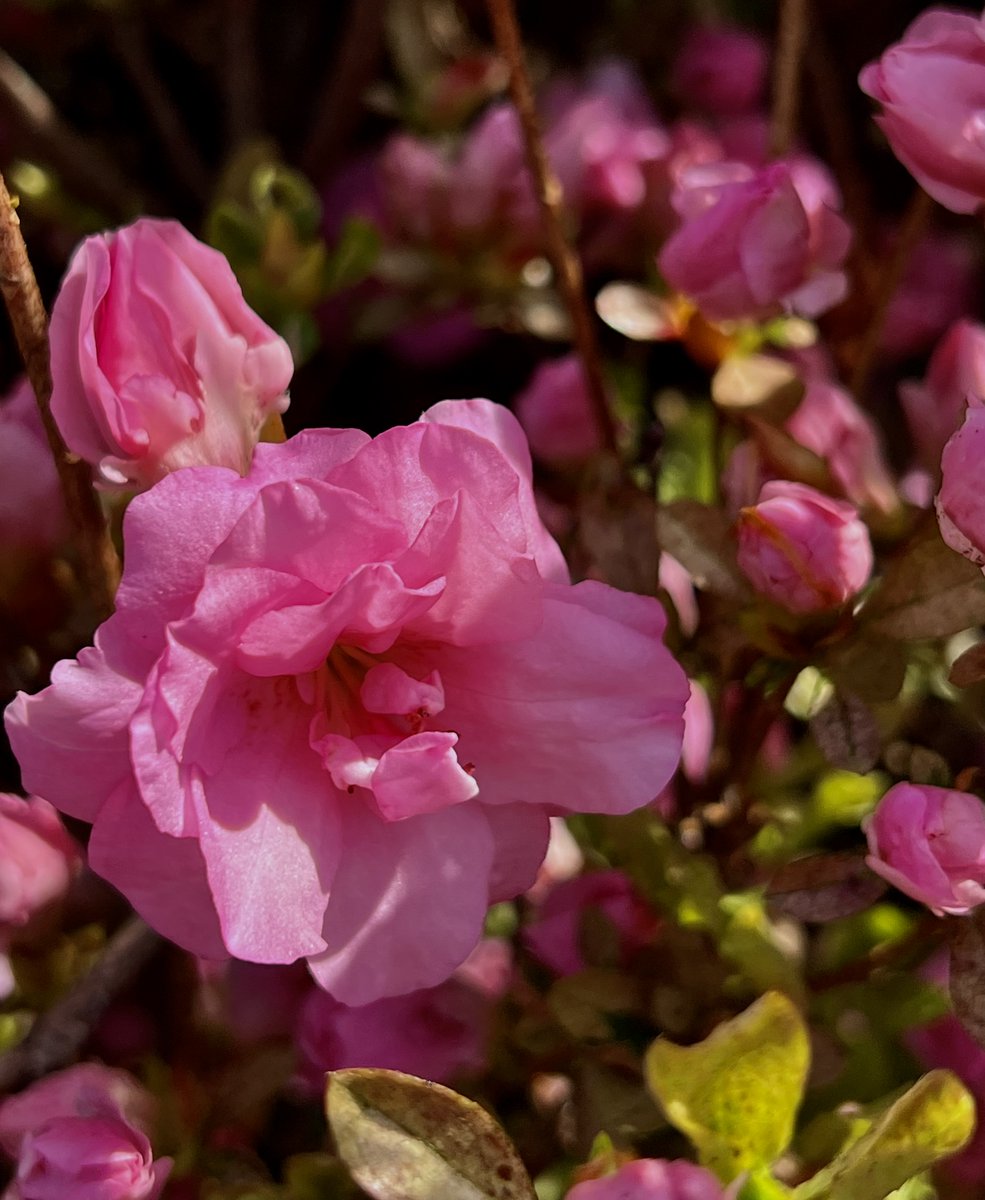 Graciela Moore tweet media