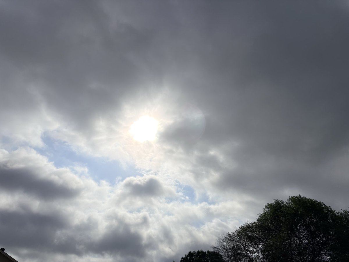 Elsewhere is Here tweet media