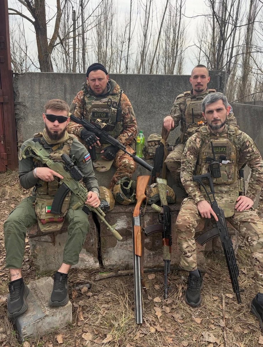 Периметр ZOV tweet media