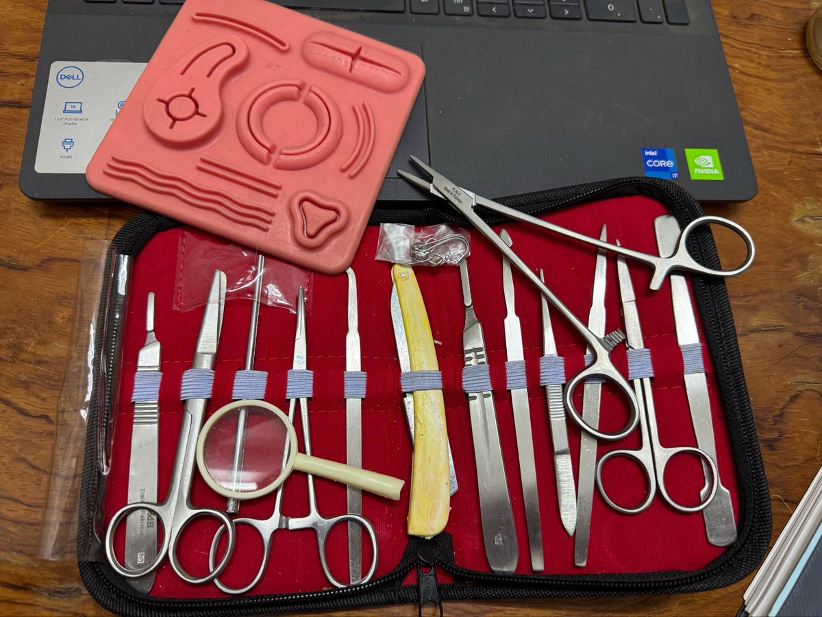 MahmouDead tweet media