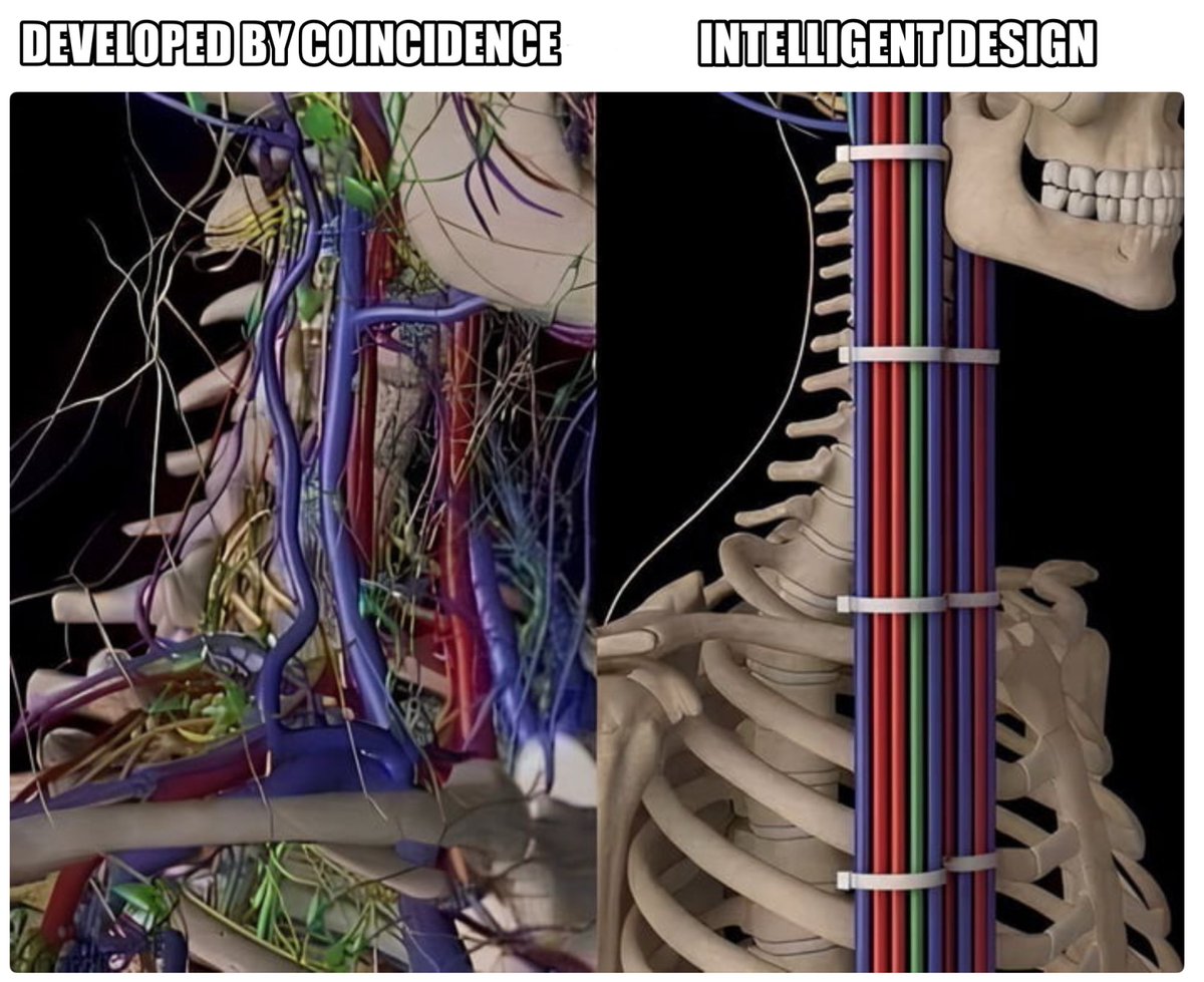 Leif-Arne tweet media