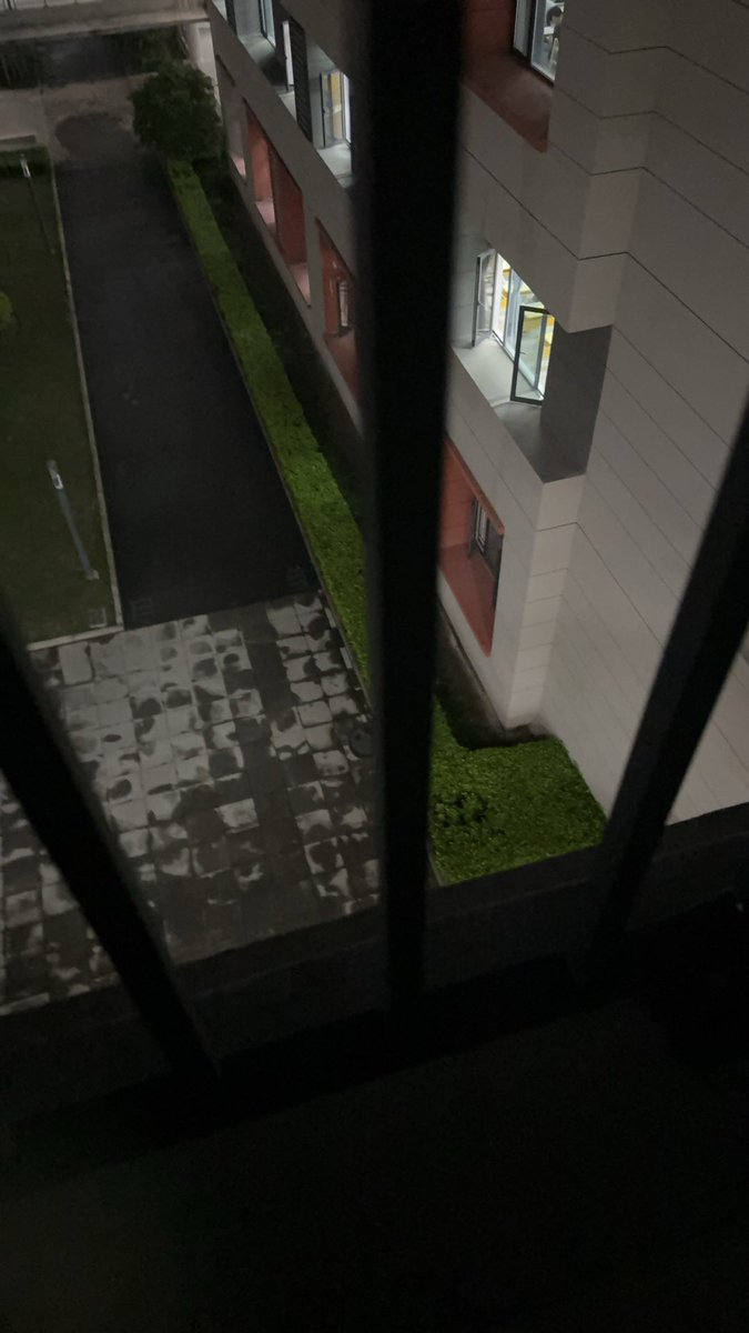 食色性也 tweet media