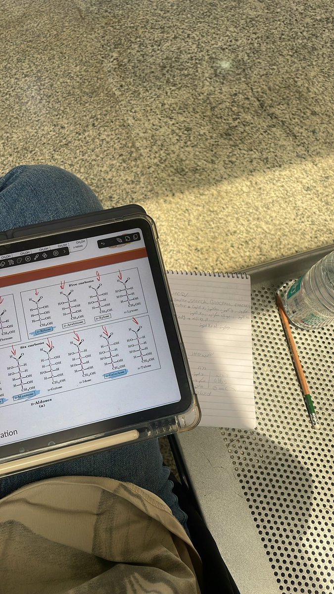 Renad Alghamdi tweet media