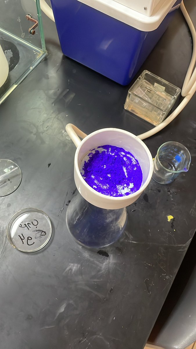 Renad Alghamdi tweet media