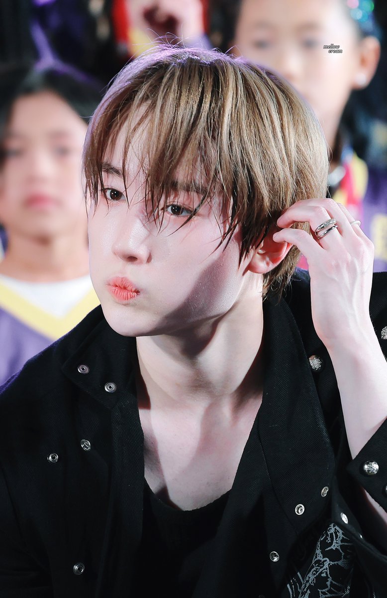 ๐ฆ๐๐ฅ๐ฅ๐จ๐ฐ ๐๐ซ๐๐๐ฆ tweet media