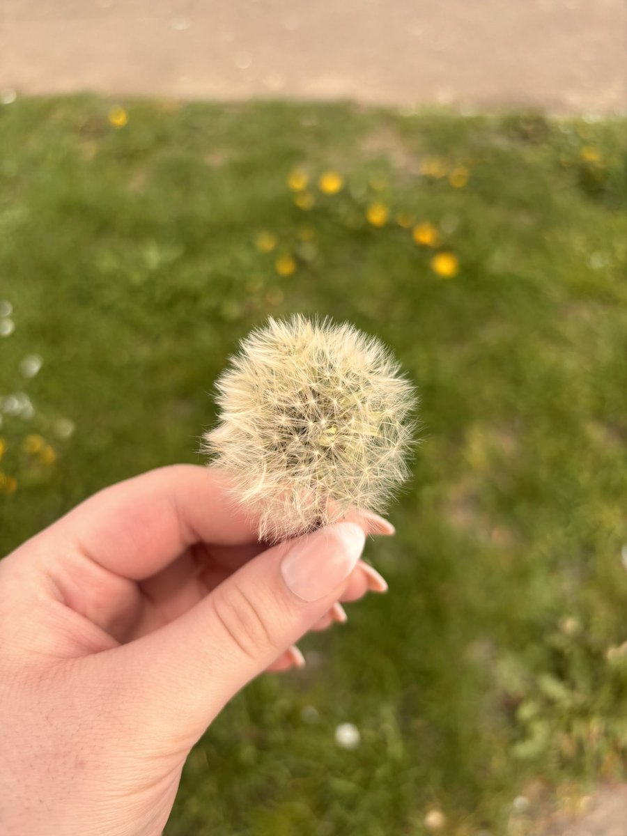 i found this as soon as I got out the car right now stop