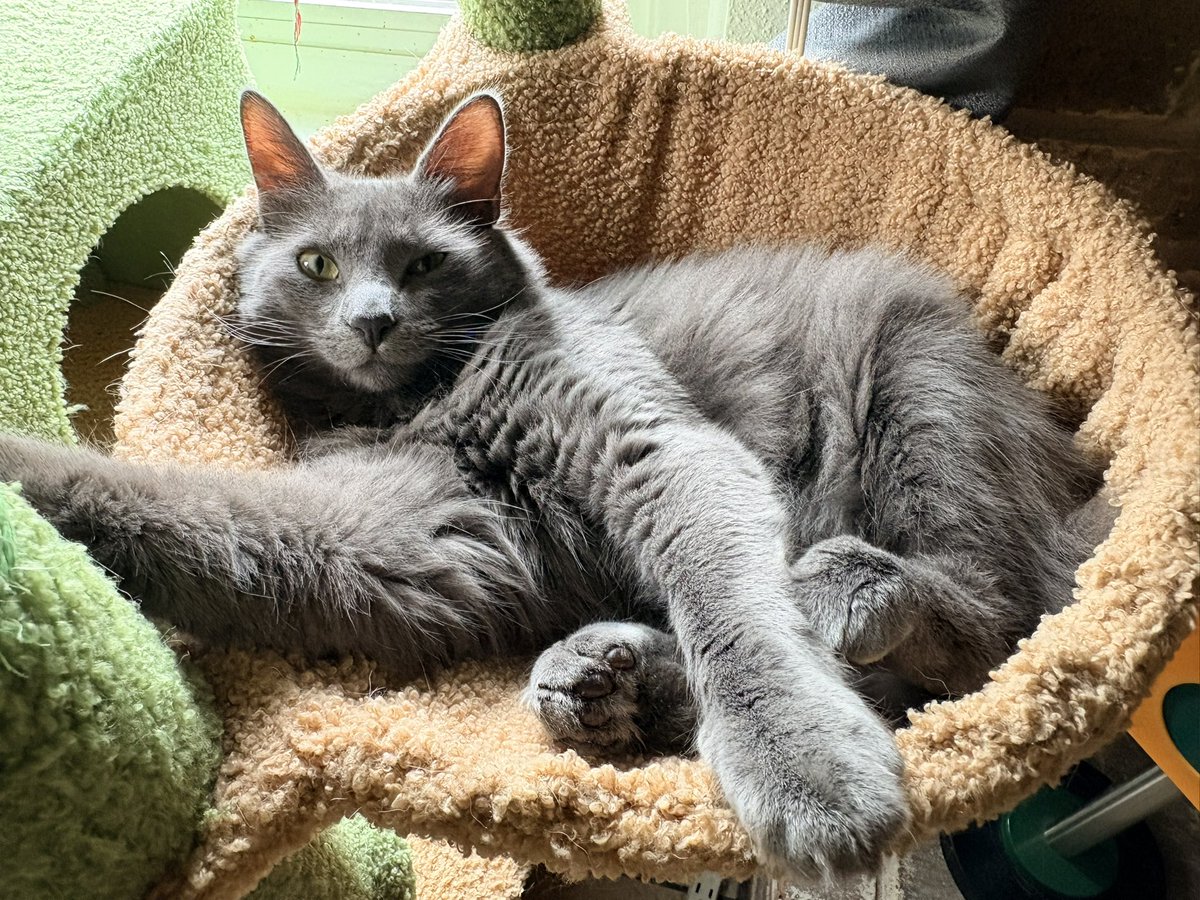 Elsewhere is Here tweet media