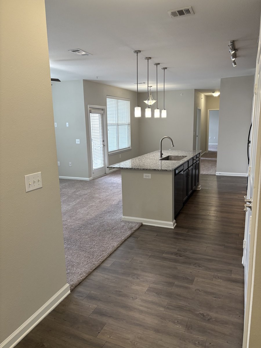 SYNC at Spring Cypress tweet media