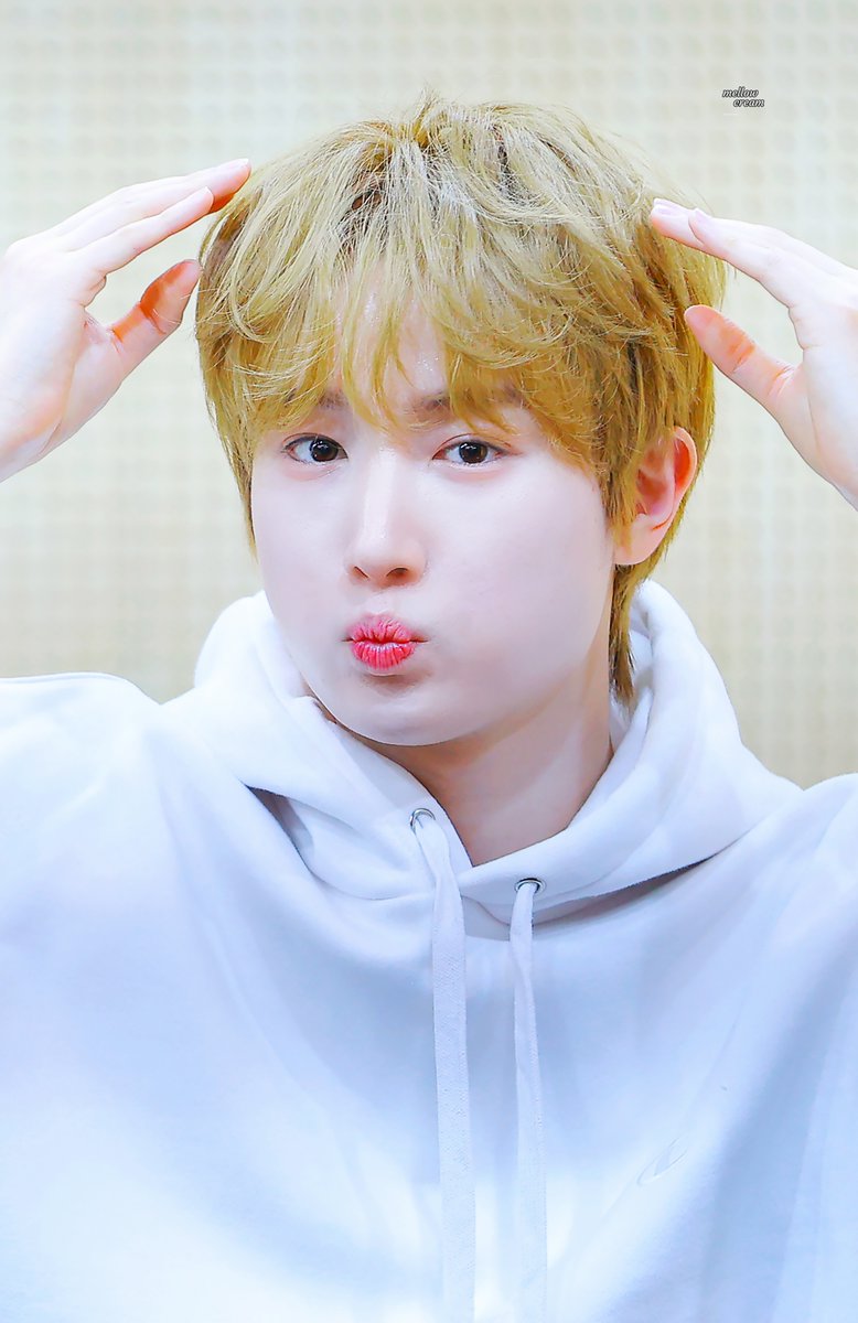 ๐ฆ๐๐ฅ๐ฅ๐จ๐ฐ ๐๐ซ๐๐๐ฆ tweet media