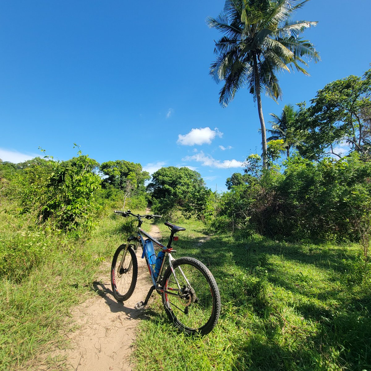 Muia 😎 tweet media