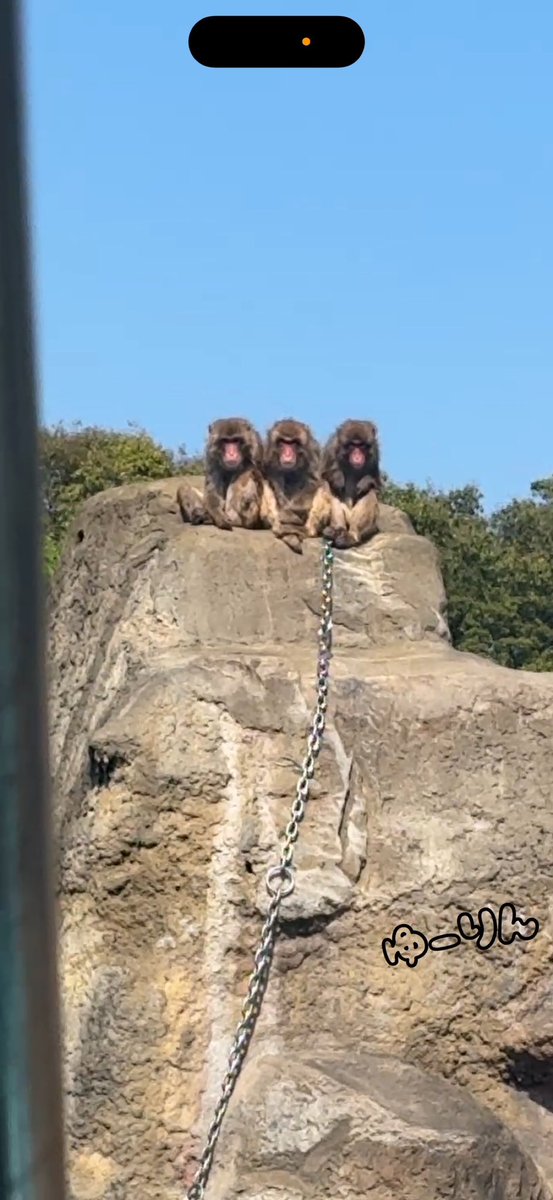 ♡深澤ゆーりん♡（コスモ•ゴロちゃん•ゴロゴローネ•チラのんアテンド） tweet media