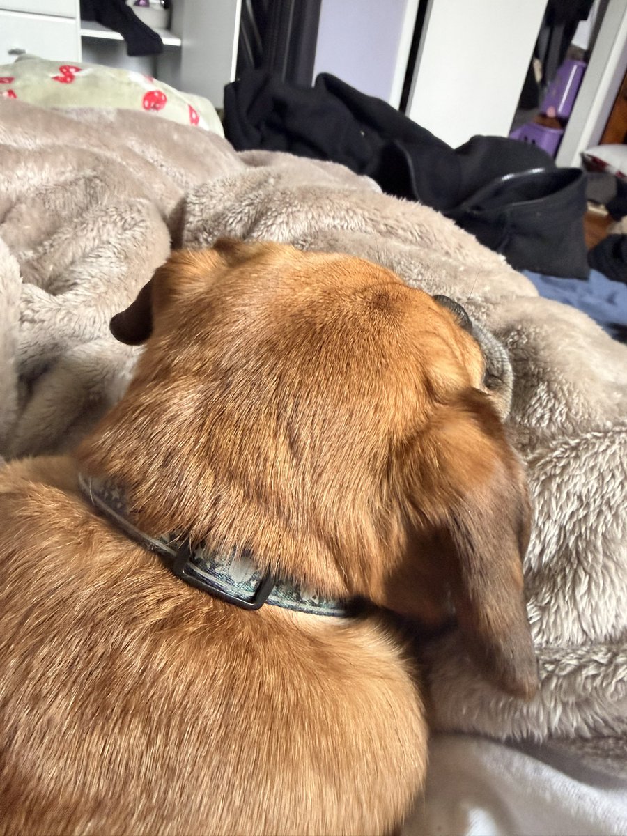 ⃟⃟⃟ tweet media