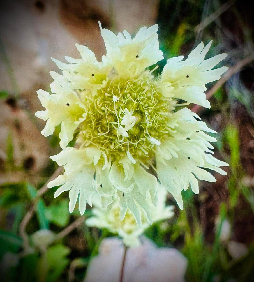 Motasem A Dalloul tweet media