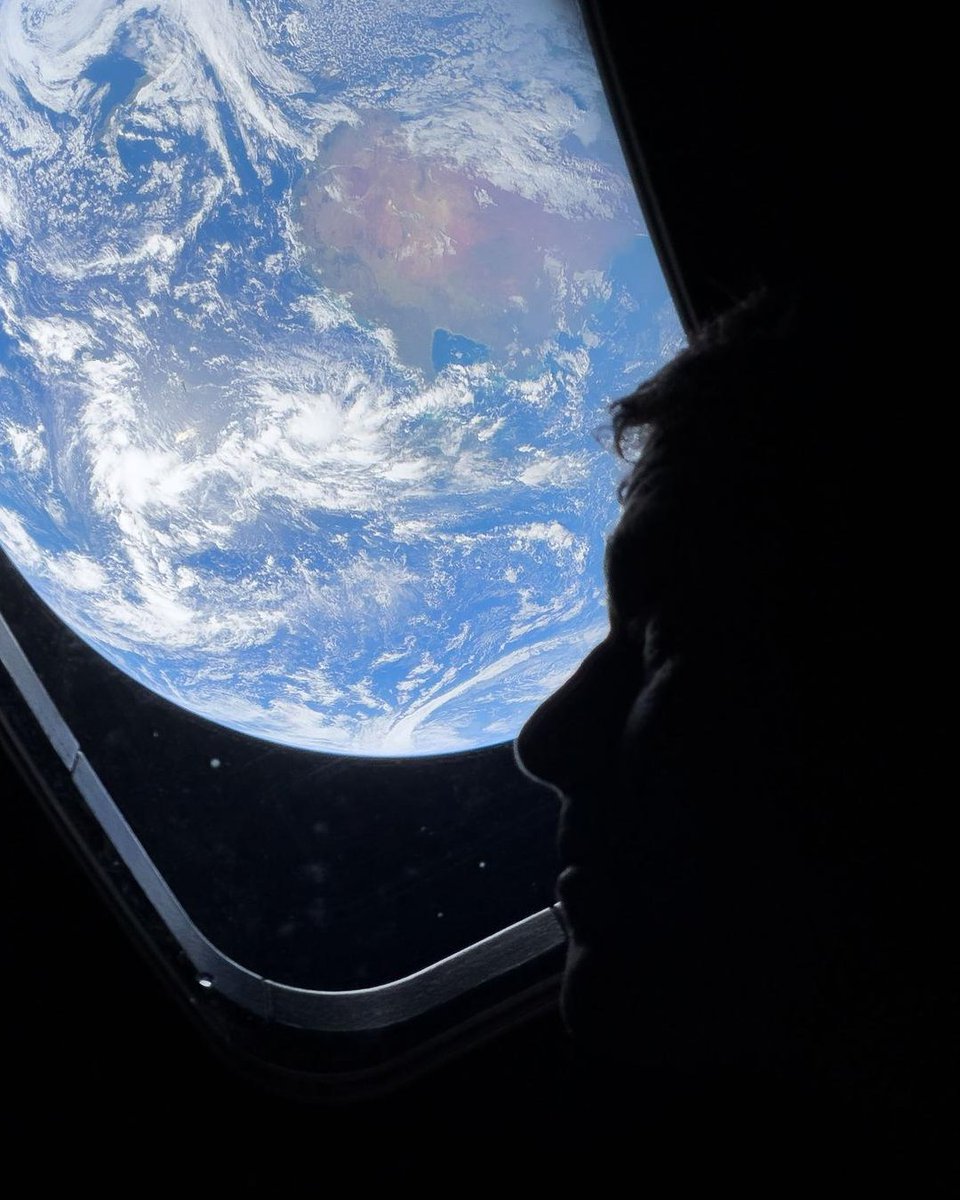 Dusty Johnson tweet media