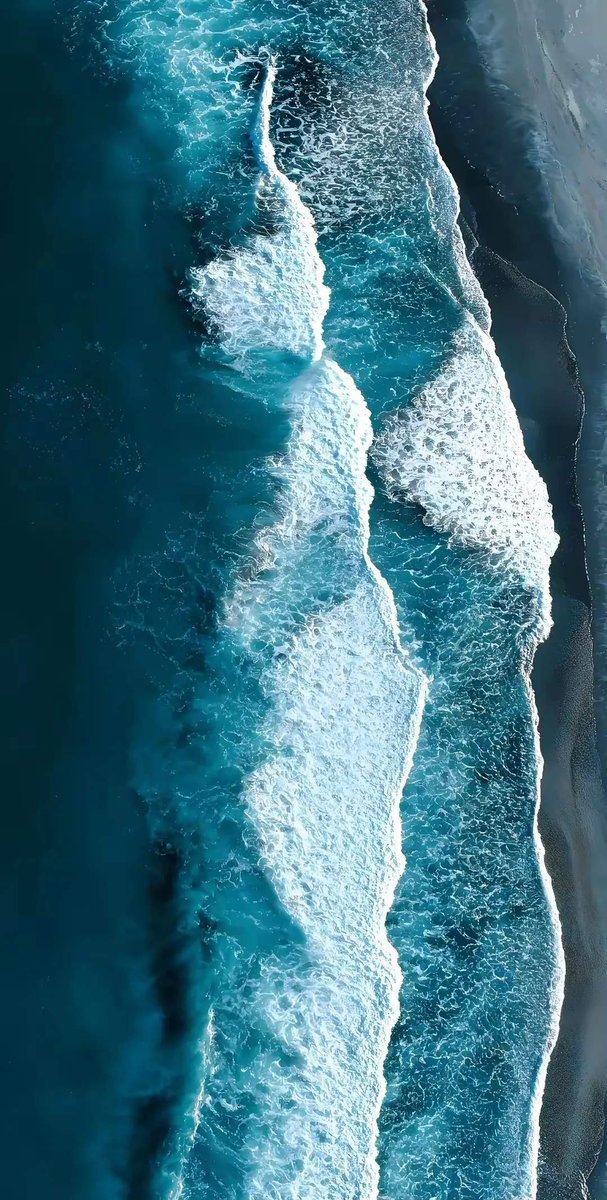 Ханмурза койлюбаев tweet media