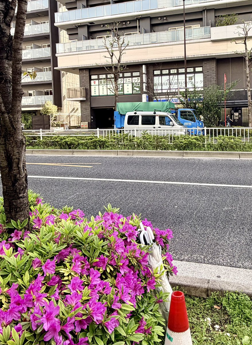 聖地巡礼
