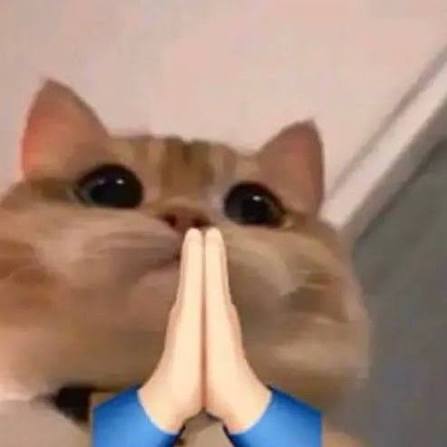 Rucha(´✪ω✪`)🩶 tweet media