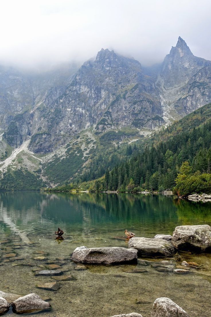 MozartCultures tweet media