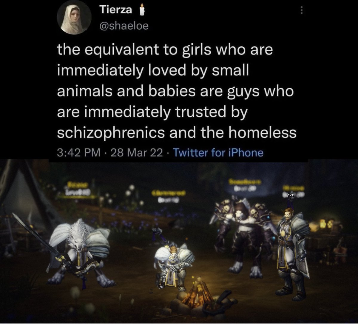 ReaseStoneheart's tweet image. #WarcraftMeme #WorldofWarcraft #Worgen