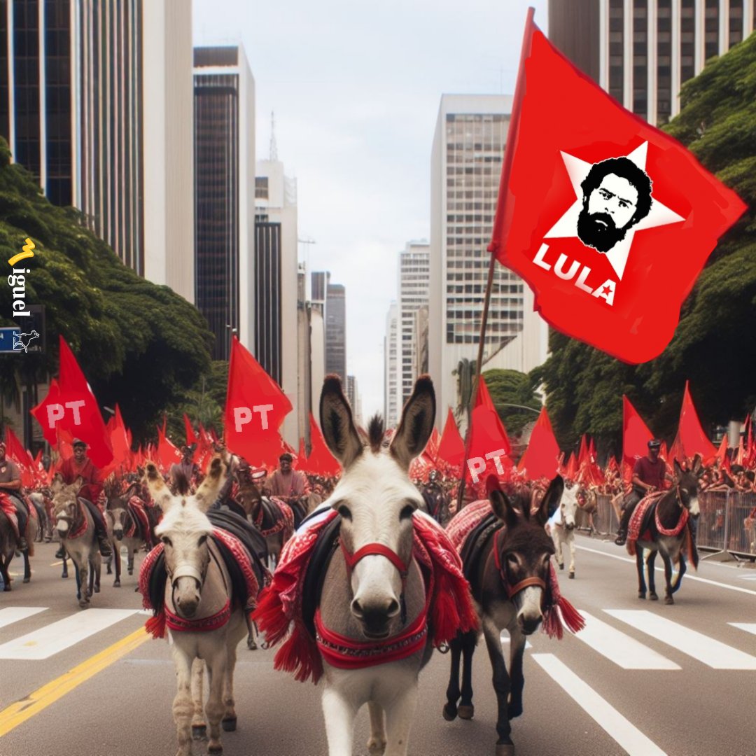 Bruno Leocadio  tweet media