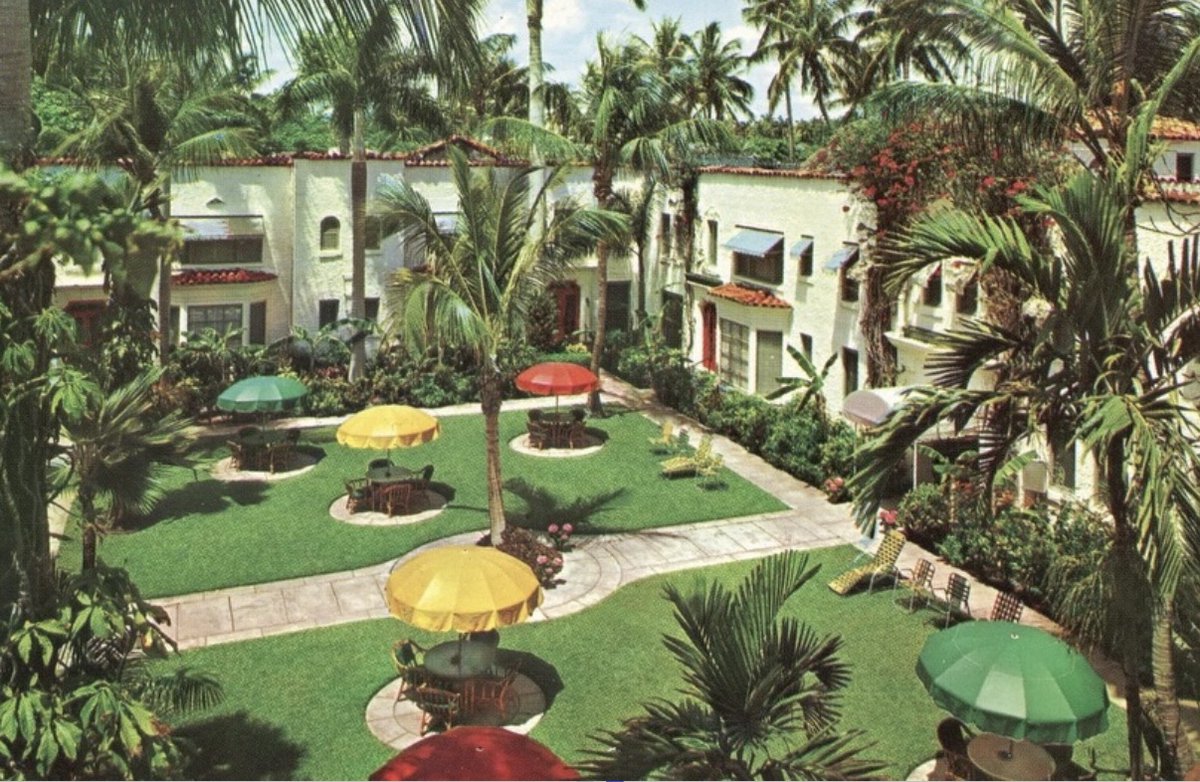 The Palm Beaches tweet media