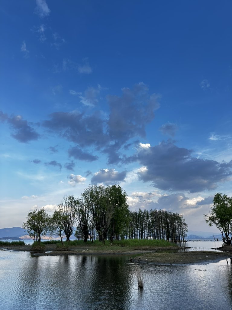 喵是喵 tweet media