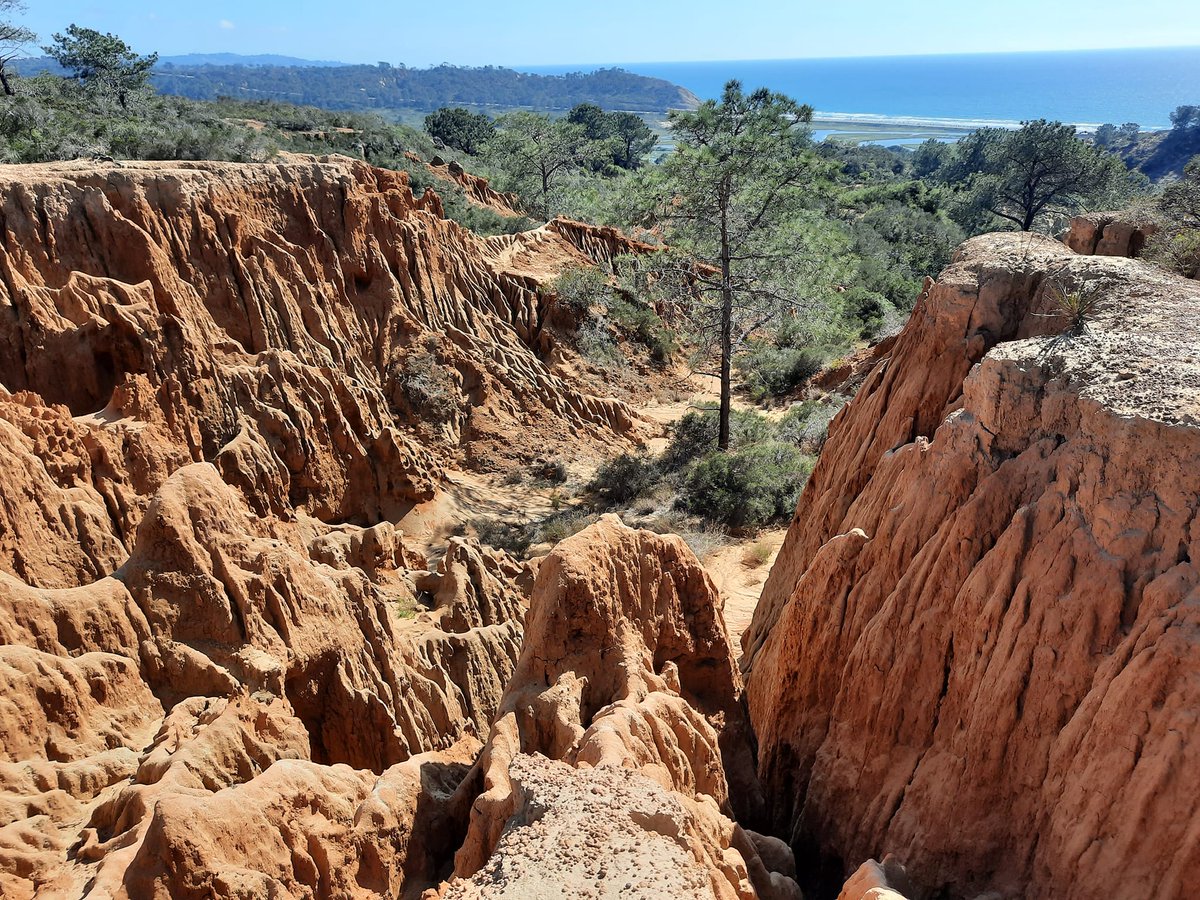 Maki-K🇺🇸サンディエゴ🏜⛵🍷🍺 tweet media