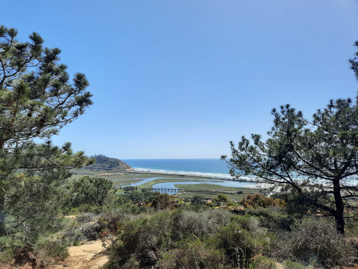 Maki-K🇺🇸サンディエゴ🏜⛵🍷🍺 tweet media