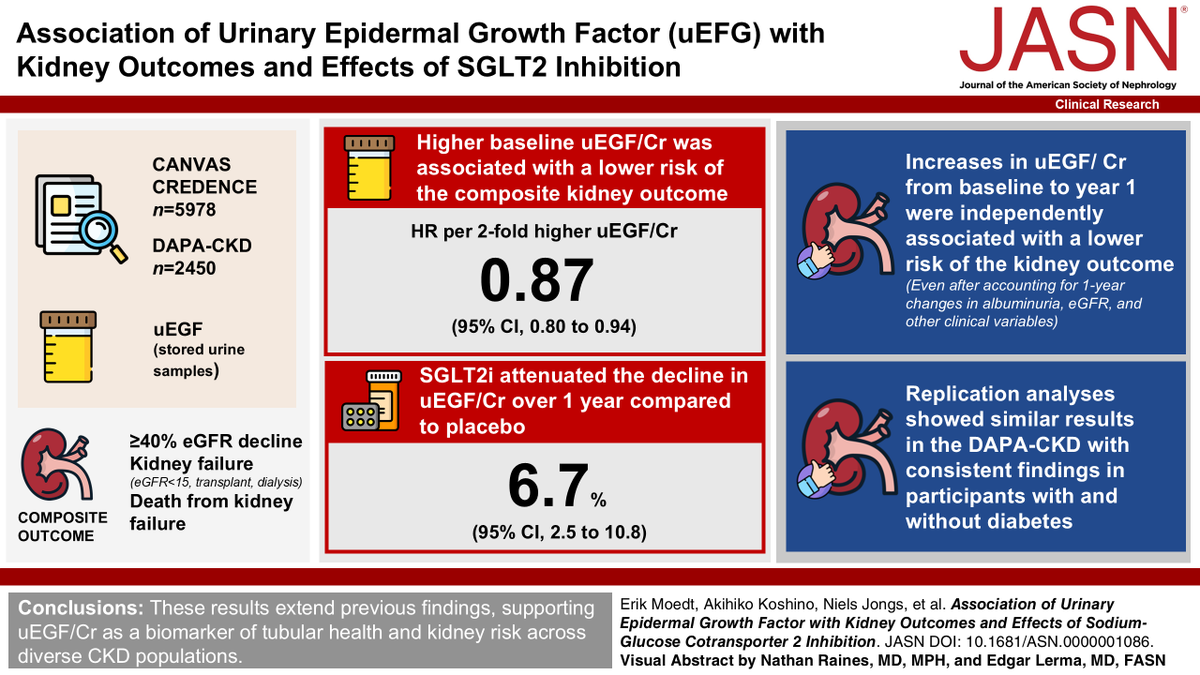 asnpublications's tweet photo. Why might higher uEGF/Cr be associated with better kidney outcomes in CKD patients? Read this study in #ASNJASN to find out the answer. https://t.co/tJpEvOxAL0 https://t.co/0RHPrCKG4o