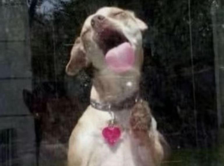 kenz 𐙚 tweet media