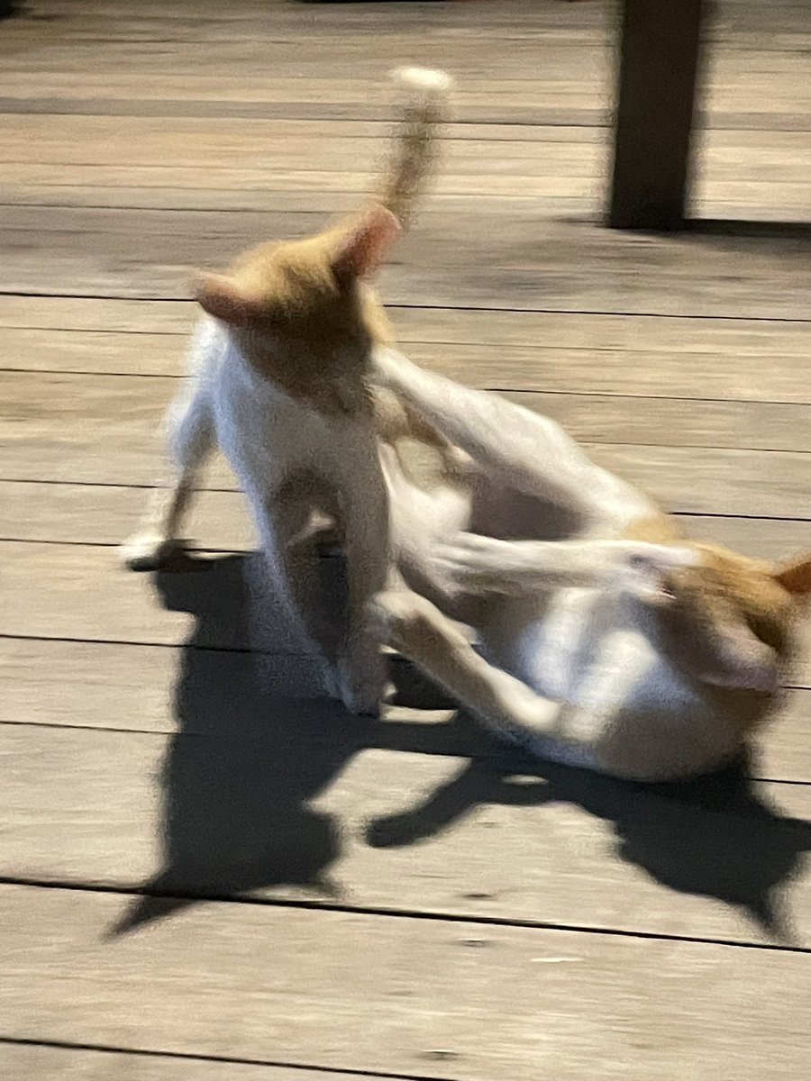 owennn*•* tweet media