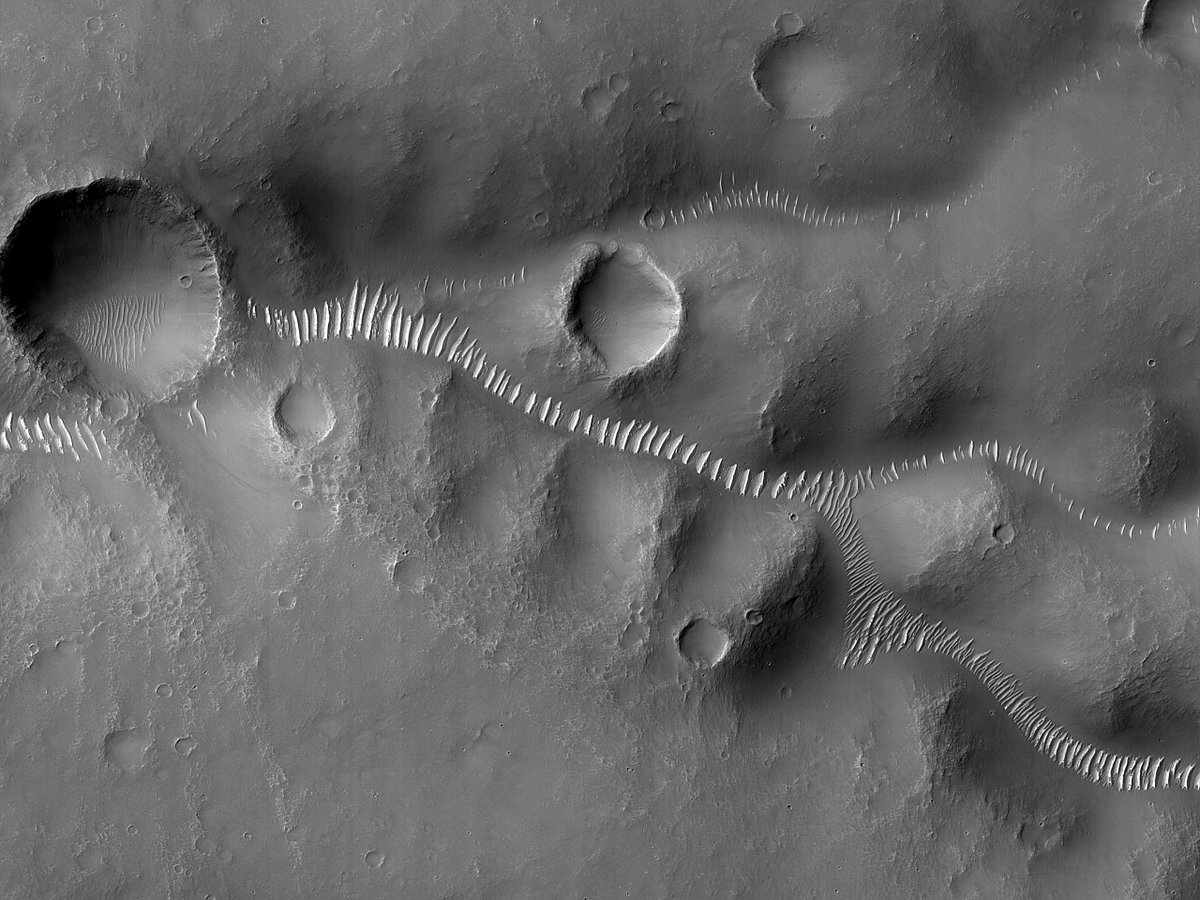 HiRISE's tweet image. HiPOD: Valley Networks of Mars

This image features dense, highly branched valley networks, two branches of which seem to originate in circular features: ancient crater floors, or something else? 

uahirise.org/hipod/ESP_0768…
NASA/JPL-Caltech/University of Arizona
#Mars #NASA