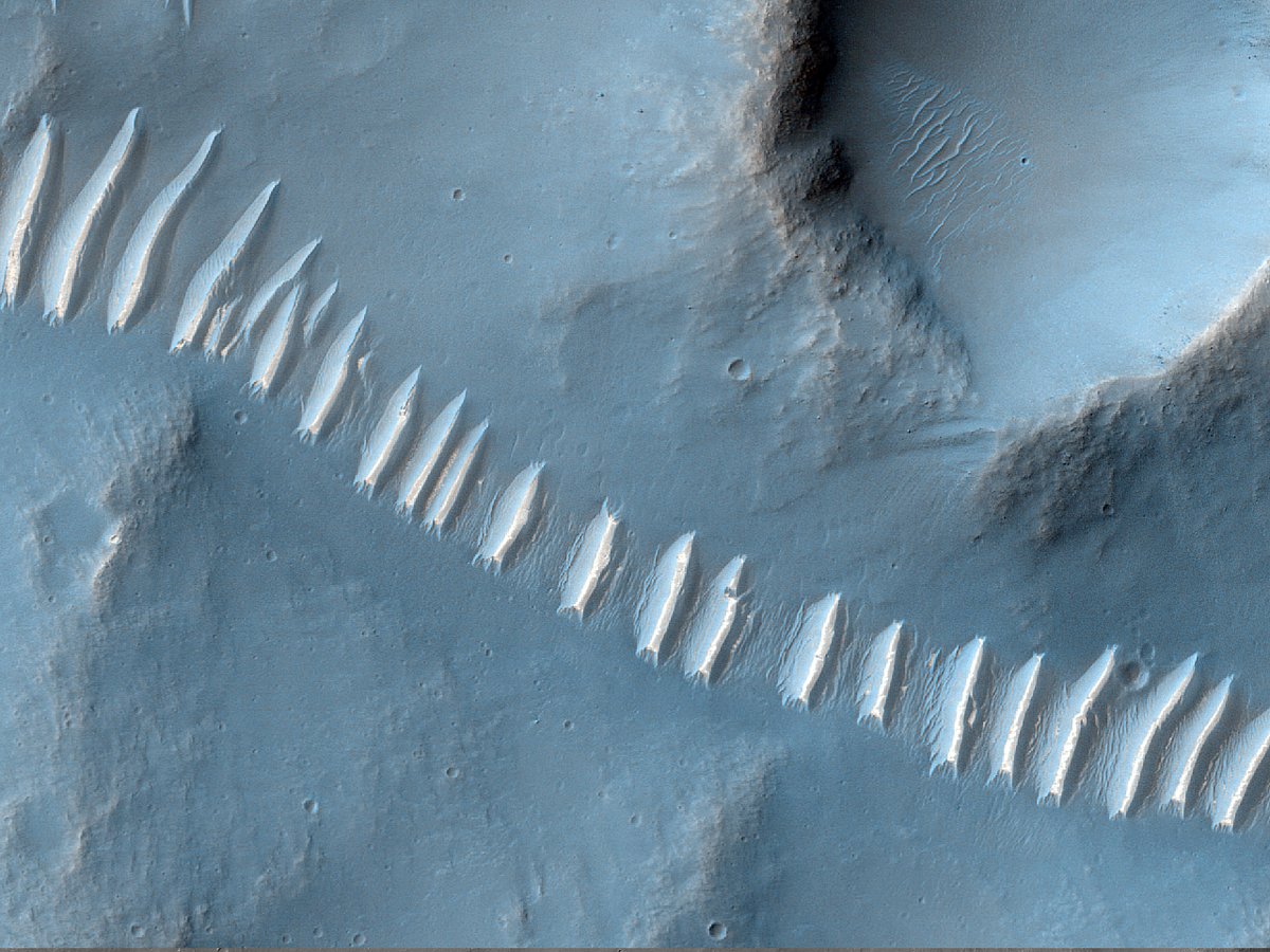 HiRISE's tweet image. HiPOD: Valley Networks of Mars

This image features dense, highly branched valley networks, two branches of which seem to originate in circular features: ancient crater floors, or something else? 

uahirise.org/hipod/ESP_0768…
NASA/JPL-Caltech/University of Arizona
#Mars #NASA
