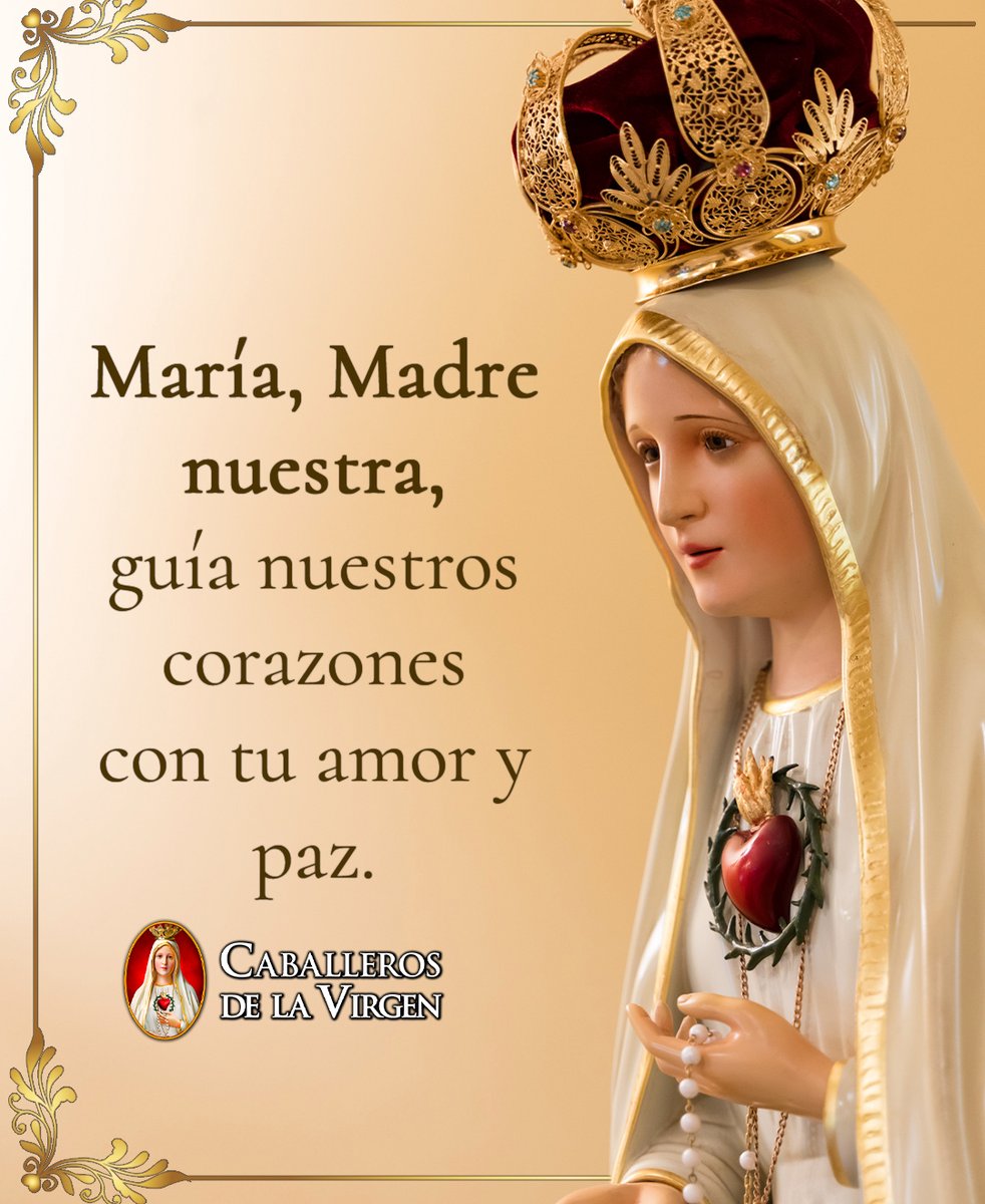 Caballeros de la Virgen tweet media