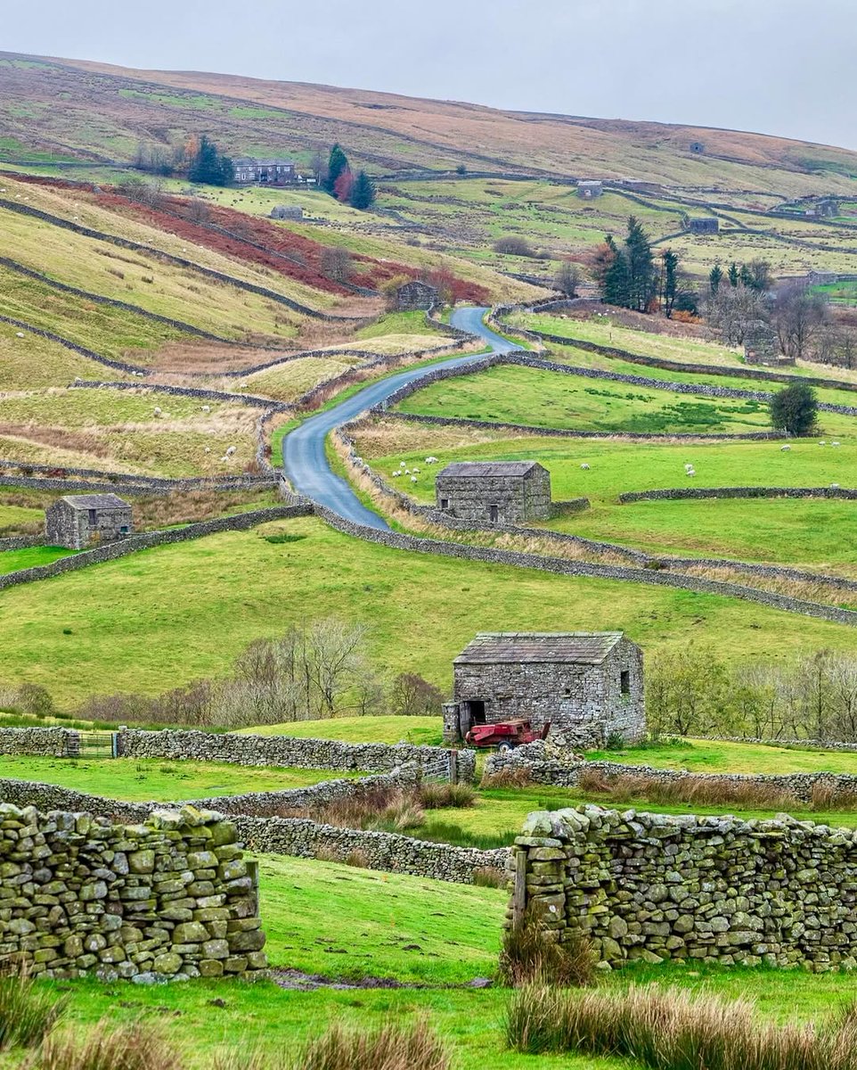 North Yorkshire tweet media