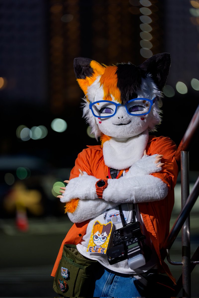 FLEET(ねこのすがた) tweet media